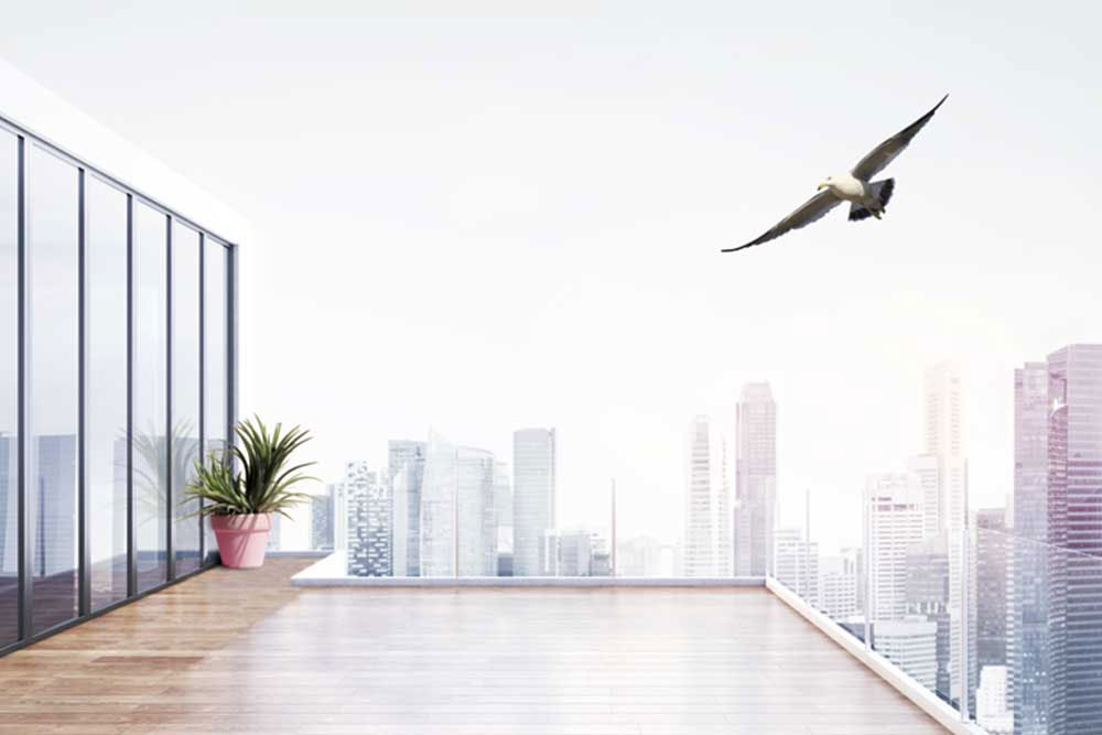 Birdsecure